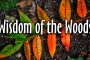 Wisdom of the Woods (video)