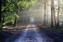 God's Dwelling Place