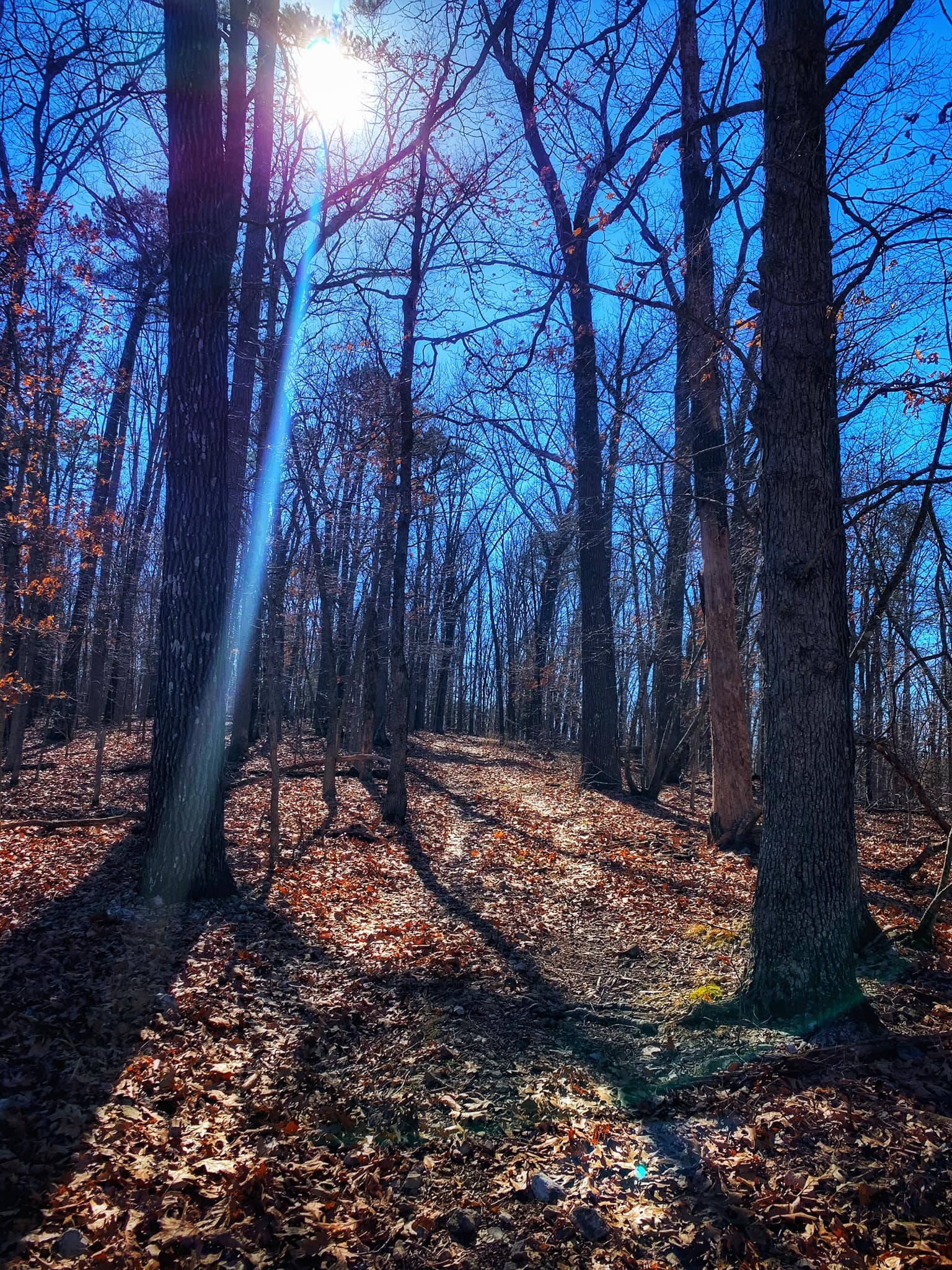 333073986_122554383917978_5329552379338647152_n