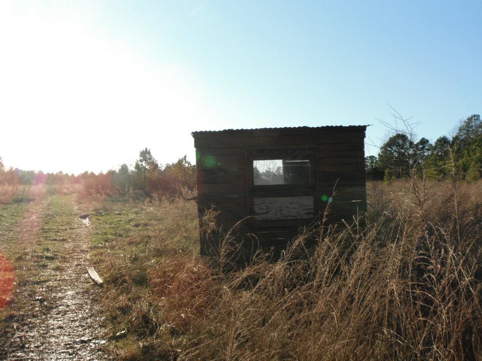 381513_1732783577466_1120390074_n